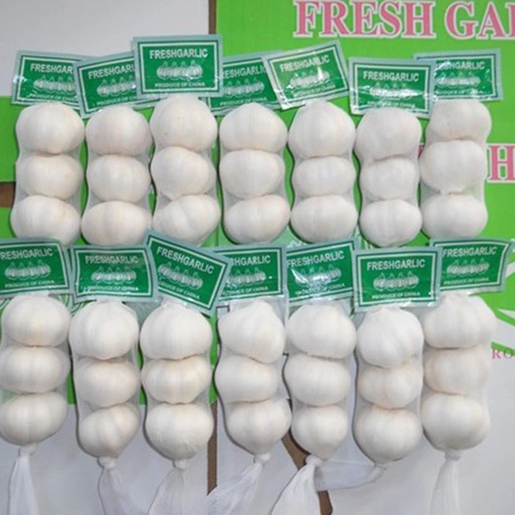 Pse Hudhra Premium Fresh është zgjedhja e preferuar për blerësit me vetëdije cilësore?