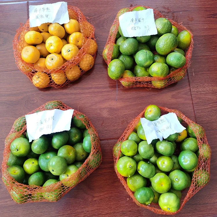 Mandarina me mjaltë të freskët