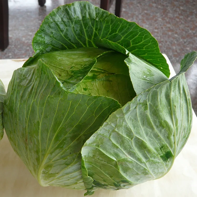 Crisp Fresh Cabbage