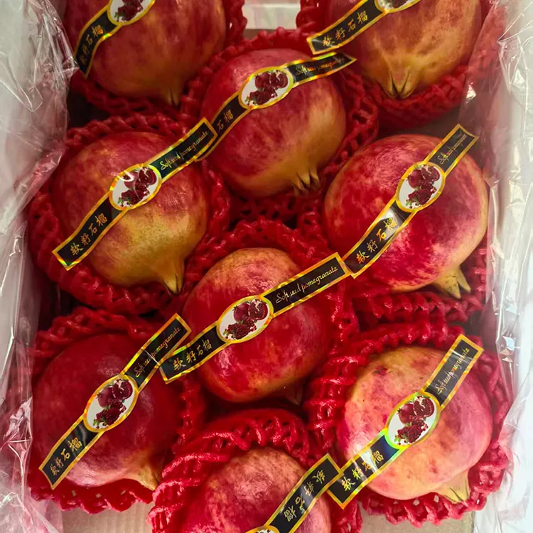 Premium Tunisian Soft-Seeded Pomegranates