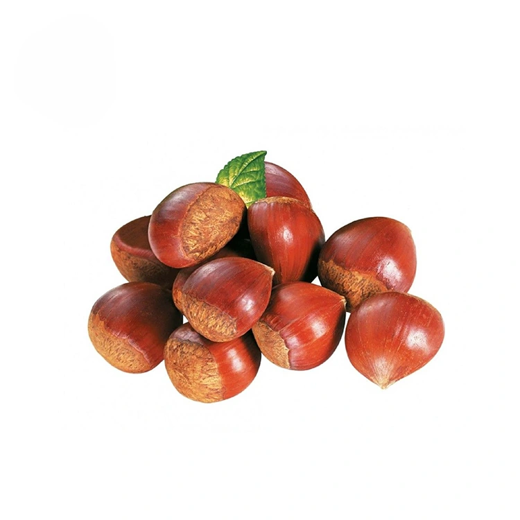 Gështenja me cilësi premium