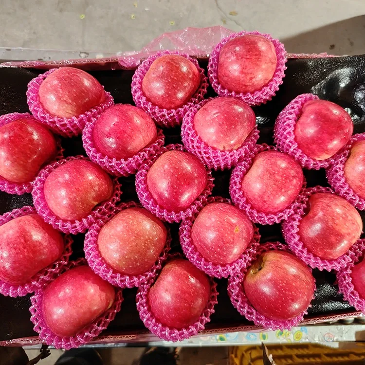 Mollë Superiore të freskëta Jiguan
